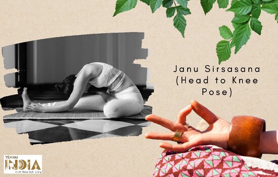 Janu Sirsasana (Head to Knee Pose)