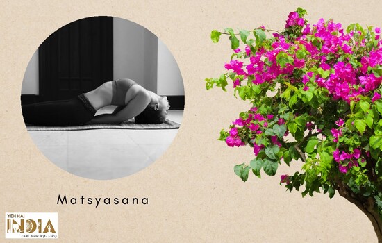 Matsyasana