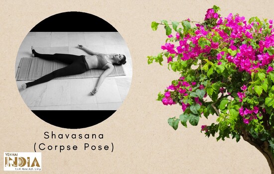 Shavasana (Corpse Pose)