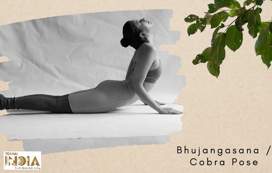 Cobra Pose (Bhujangasana)