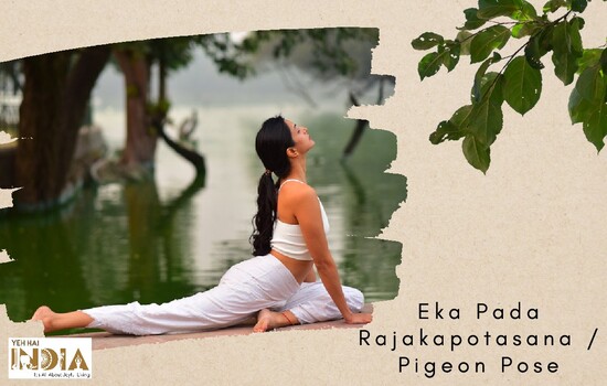 Pigeon Pose (Eka Pada Rajakapotasana)