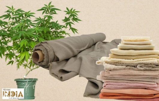 Hemp Fabric: Sustainable, Renewable And Eco-friendly For Your Lifestyle