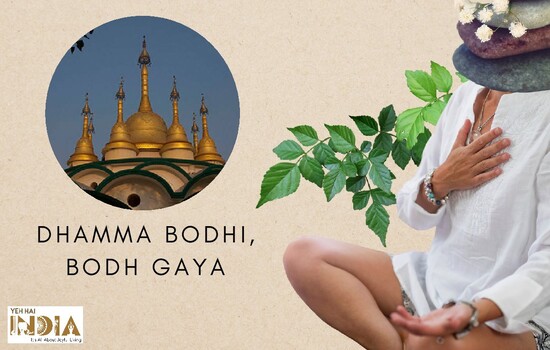 Dhamma Bodhi, Bodh Gaya