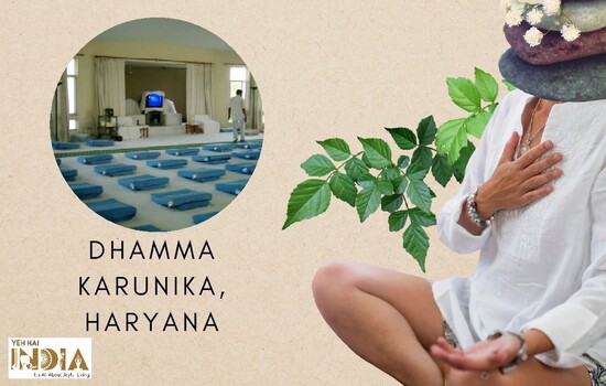 Dhamma Karunika, Haryana