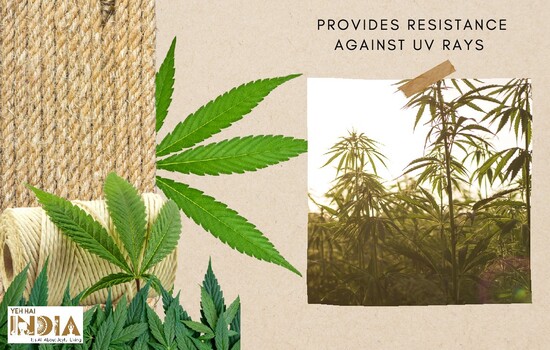 Hemp protects against UV rays