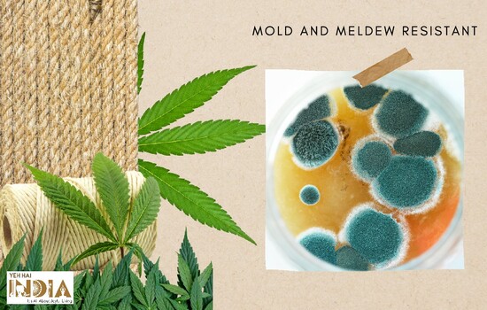 Hemp is mold and mildew resistant