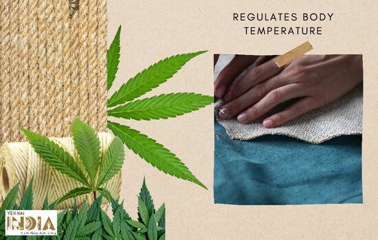 Hemp regulates body temperature