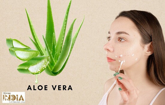Aloe Vera for Acne