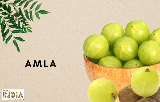 Amla