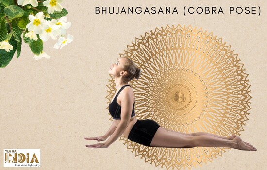 Bhujangasana (Cobra Pose)