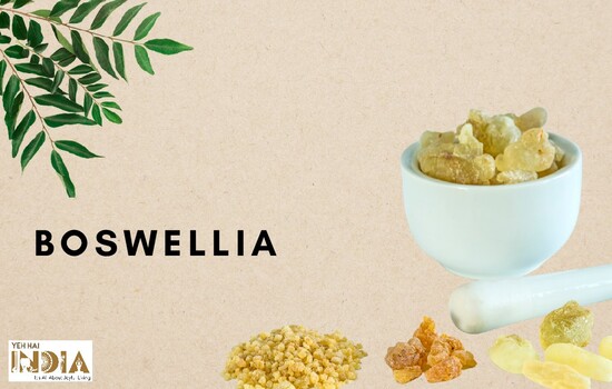 Boswellia