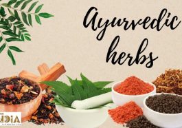 Ayurvedic Herbs Benefits