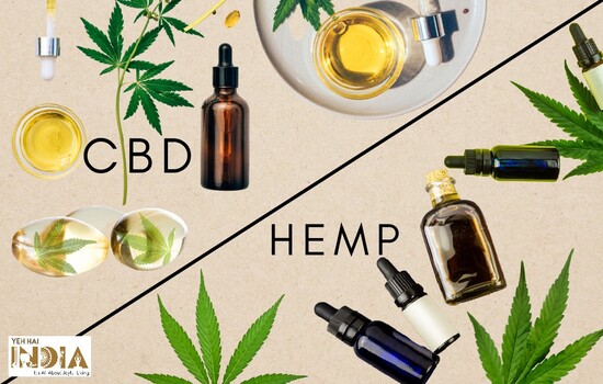 Hemp vs CBD