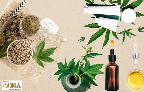 Things You Must Know Before Purchasing Hemp Products