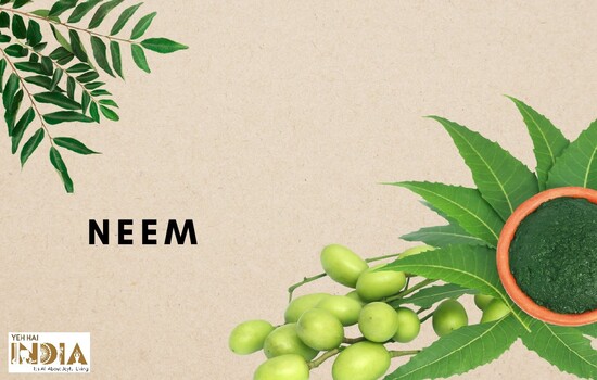 Neem