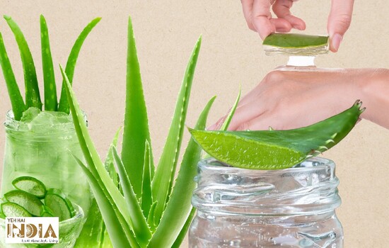 Aloe Vera Gel faq