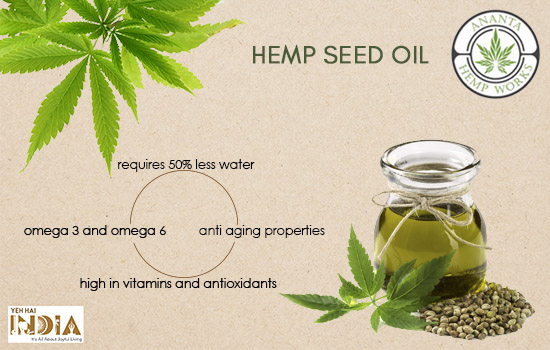Why hemp seed oil