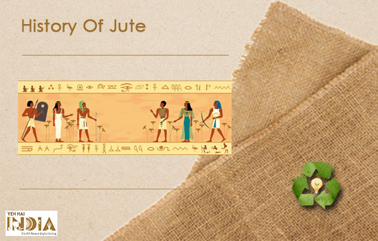 History of Jute