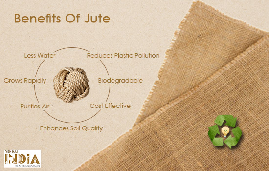 Benefits of Jute