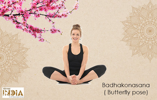 Badhakonasana( Butterfly pose)