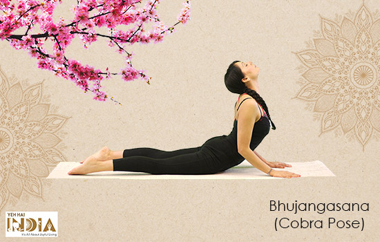 Bhujangasana( Cobra Pose)