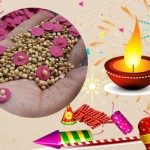 Seed Fire-crackers: A Greener Way To Celebrate Diwali