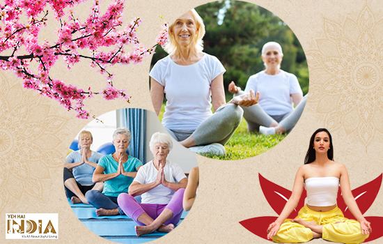 Yoga for The Elderly