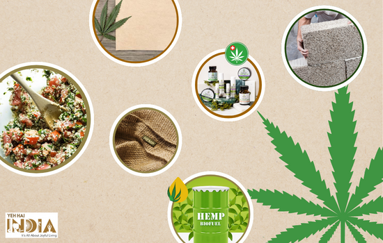 General Uses of Hemp