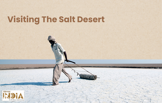 Visiting The Salt Desert