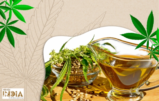 Hemp Seed Oil Benefits