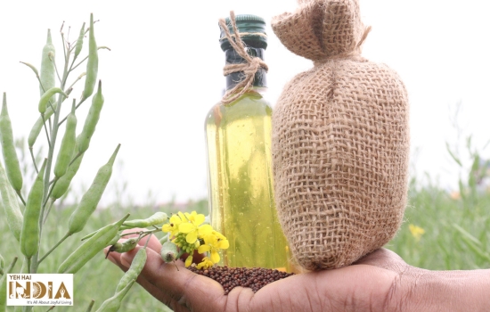 Photosensitivity as an effect of mustard oil